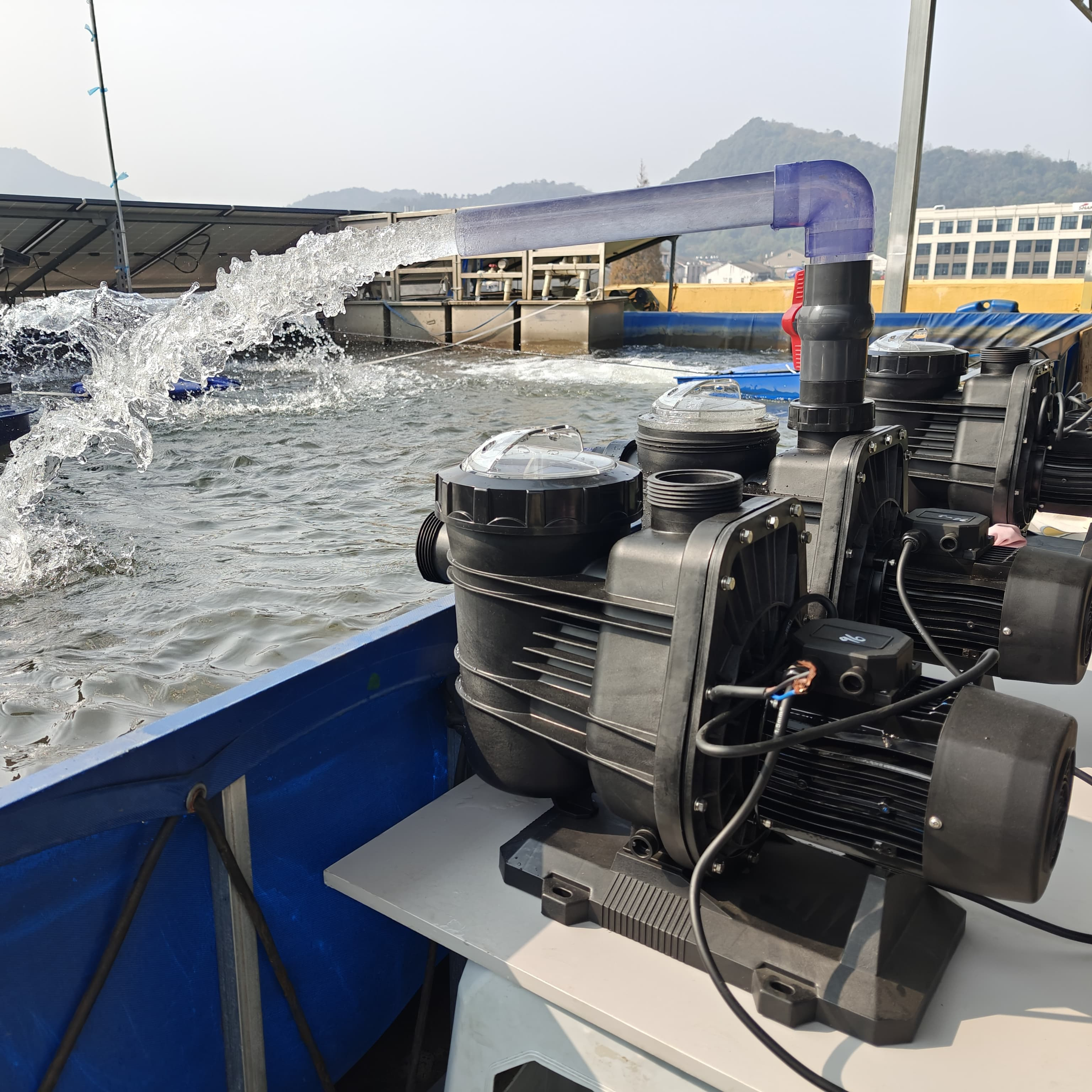 DC24/48/72/96/AC220/DC300 Dc S - Solar Pool Pump Kit 리뷰 및 가격